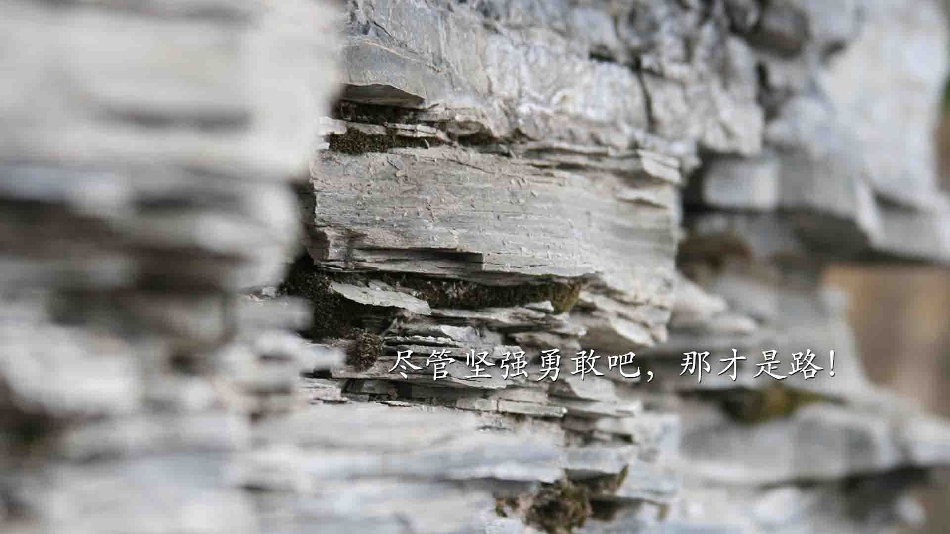 “足球志愿者服务队伍火焰熊熊，助力赛事顺利进行”，足球比赛志愿者需要干什么
