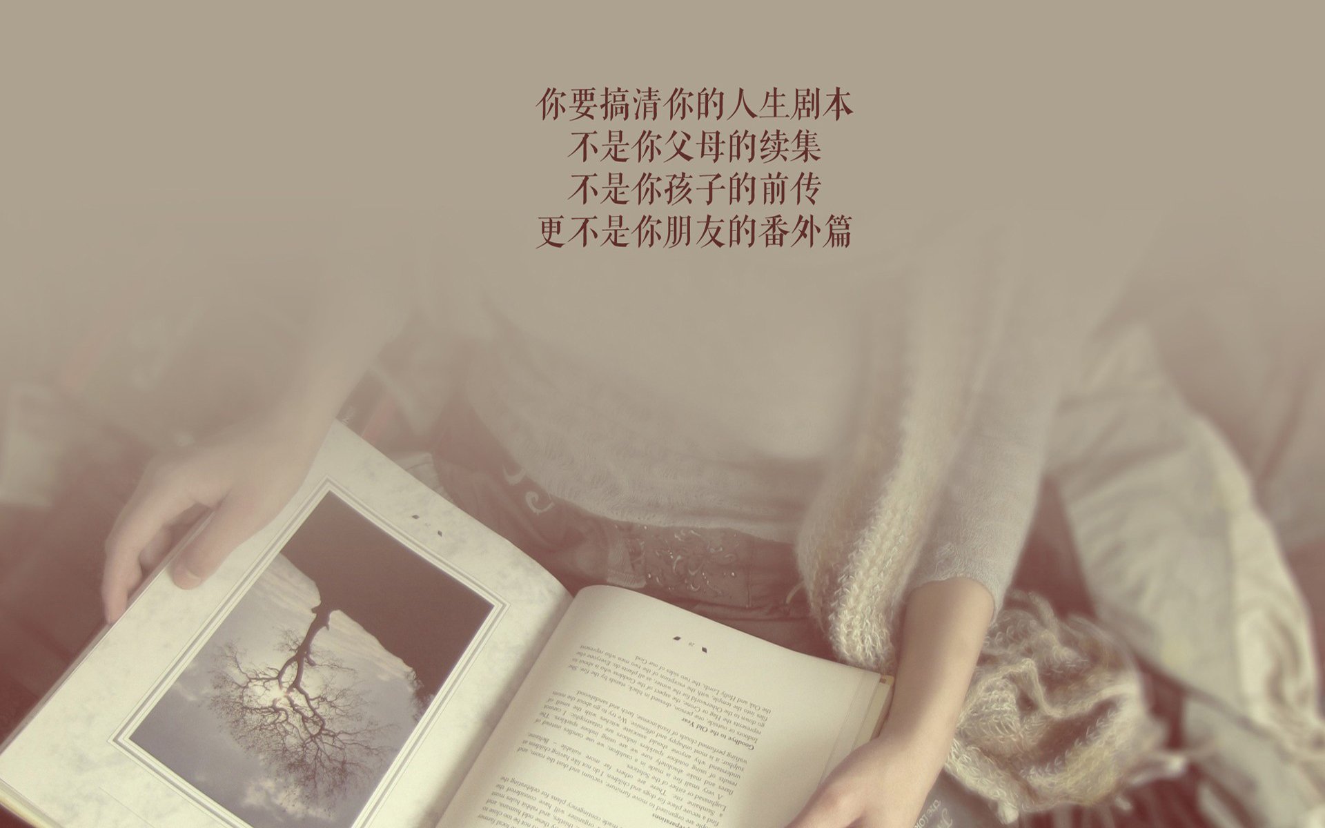 葡萄牙体育主力球员续约谈判进展，葡萄牙球员转会