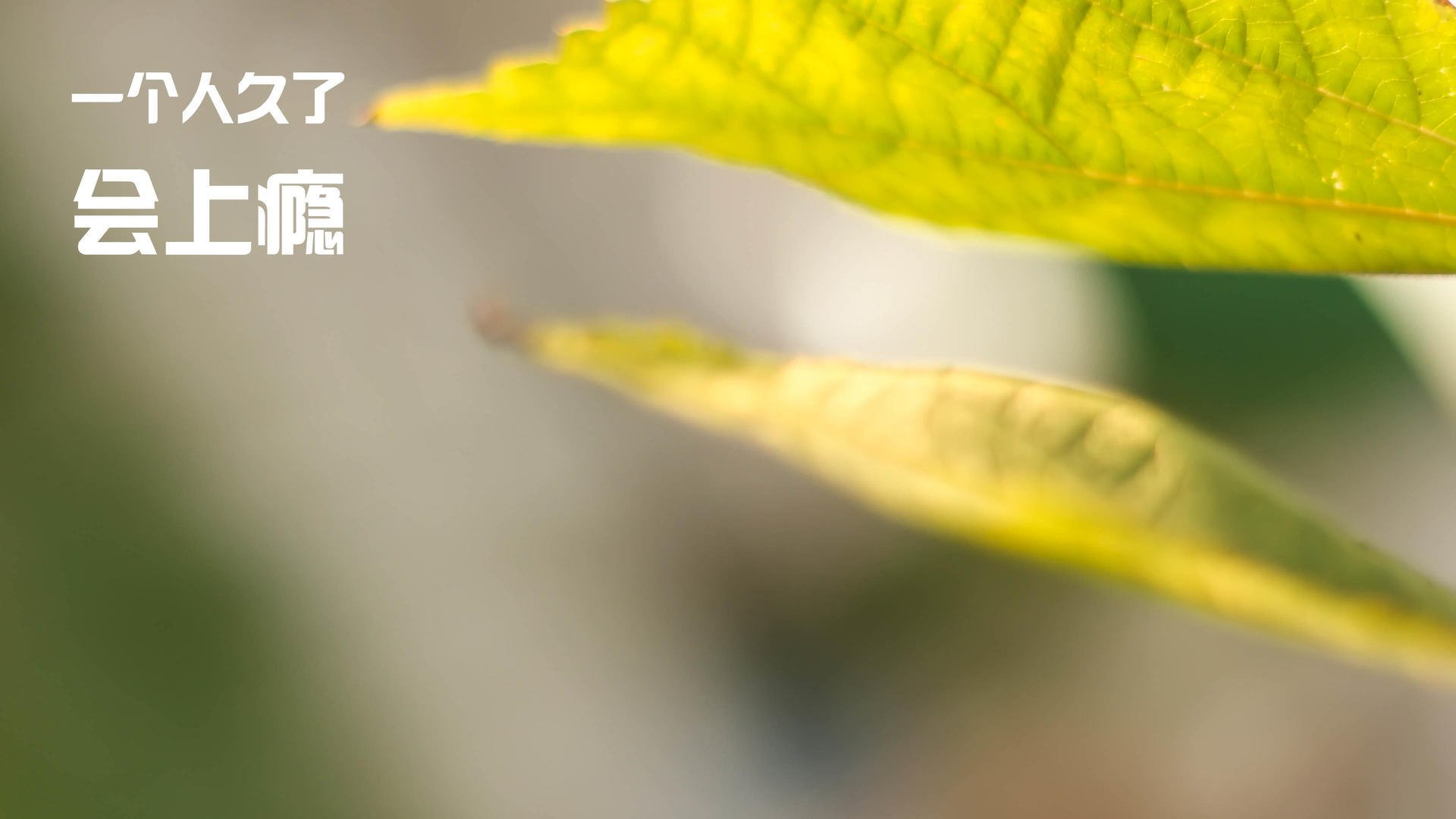 kaiyun官方网站-五大联赛战术变革是否真正实现节奏现代化，五大联赛战术变革是否真正实现节奏现代化