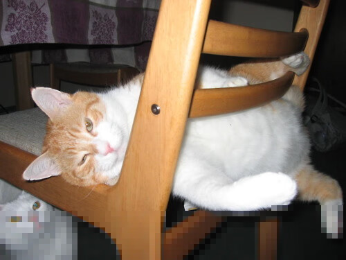 体育新闻中心开展体育短视频创作能力培训,如何创意体育类短视频