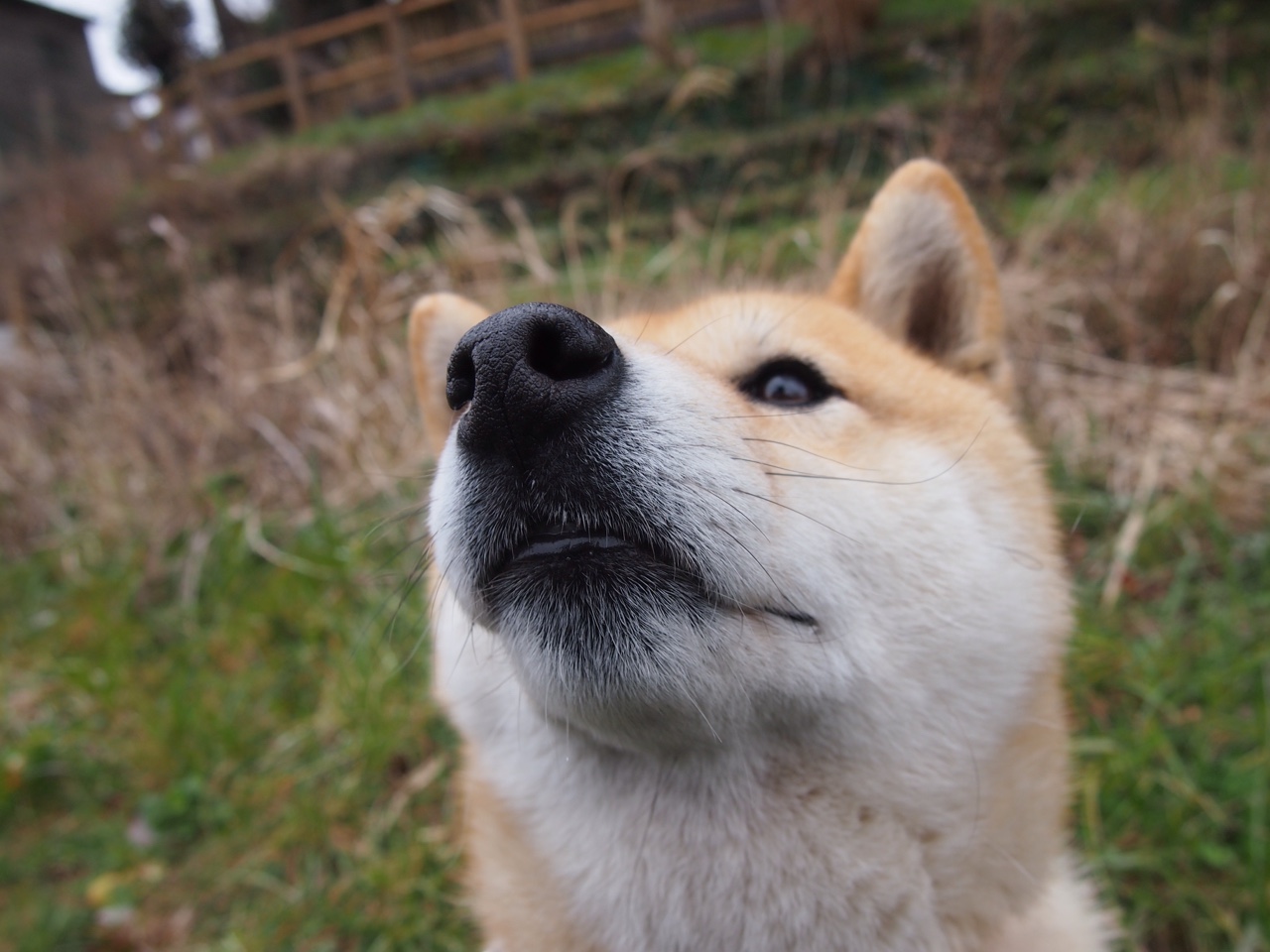 技术雷达图展现男子100自优势,雷达技术百科全书