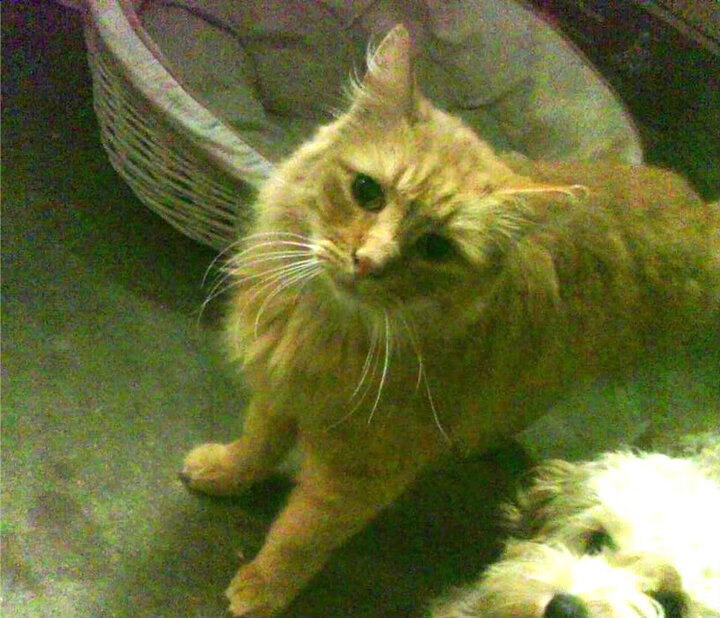 kaiyun官方网站-海湾者青年军成长迅速，未来可期，海湾军备竞赛一触即发