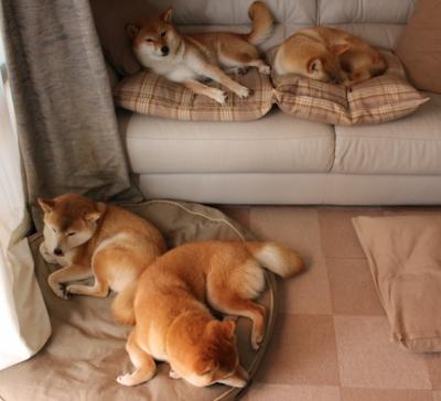 “马科斯·莫奇的全能防守,帮助阿根廷美洲狮队实现全球崛起”