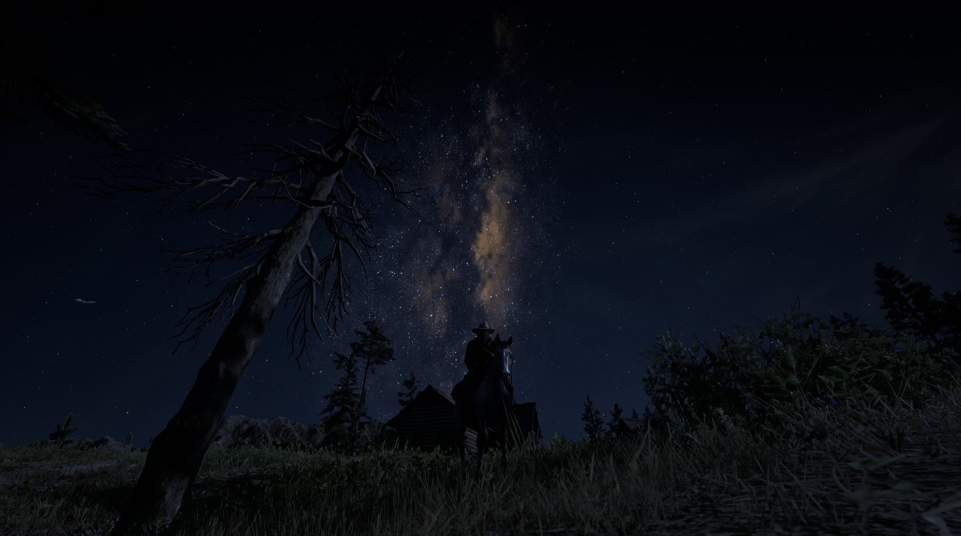 莱德基女子800米自由泳决赛表现稳健，莱德基200米自由泳