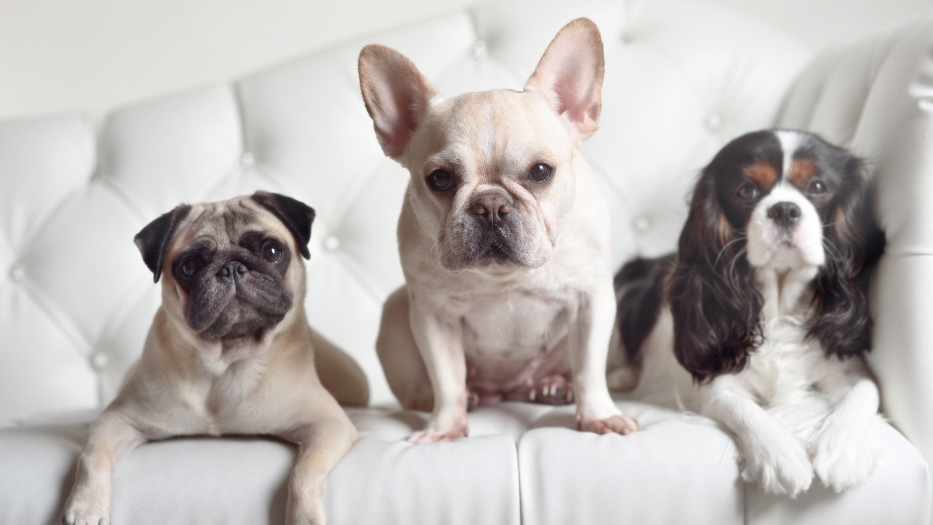 开云官网-青少年体育培训政策调整，青少年体育培训政策调整方案